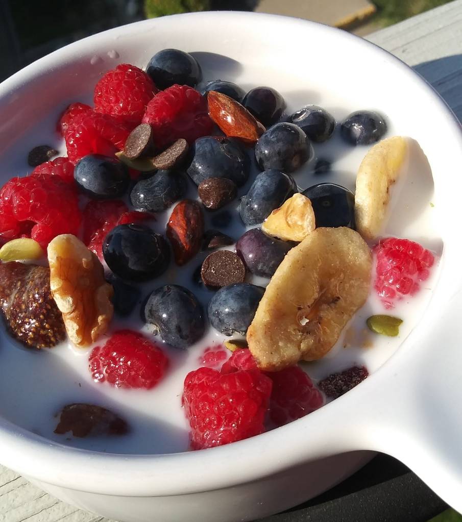 A bowl of yogurt topped with raspberries, blueberries, banana slices, nuts, seeds, and chocolate chips.